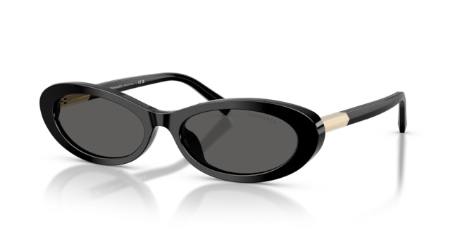 TIFFANY & CO. Tıffany & Co. — 2